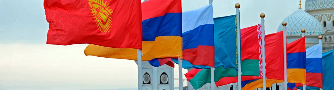 Декларация Таможенного Союза недорого