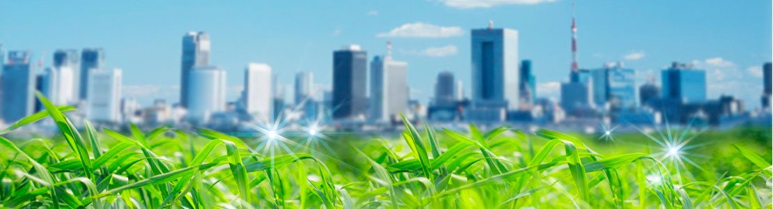 Сертификация ISO 14001 недорого